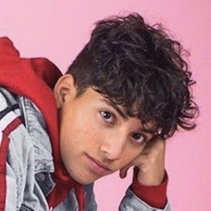 Kevin Perry (Tik Tok ) Wiki, Age, Height Weight, Net Worth ...
 |Tiktok Kevin