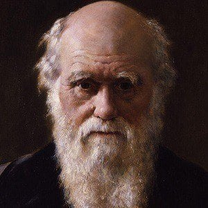 Charles Darwin Headshot 2 of 5