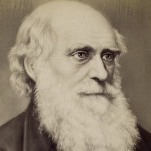 charles darwin biography wikipedia