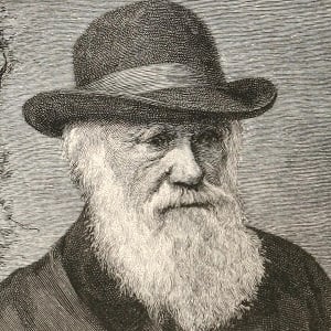 Charles Darwin Headshot 4 of 5