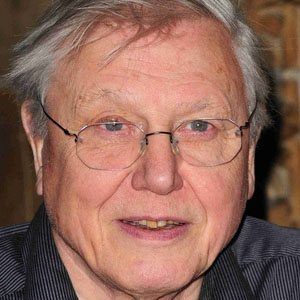 David Attenborough at age 81