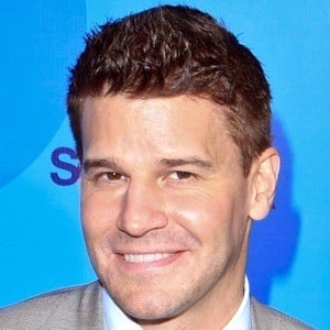 David Boreanaz at age 42