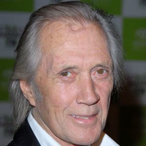 David Carradine - Bio, Family, Trivia | Famous Birthdays