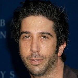 David Schwimmer at age 37