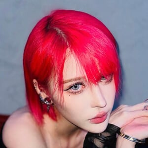 djharuharuka Headshot 3 of 9
