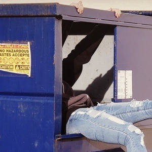 DumpsterDivingMama Headshot 3 of 10