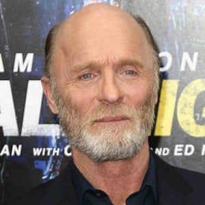 Ed Harris at age 64