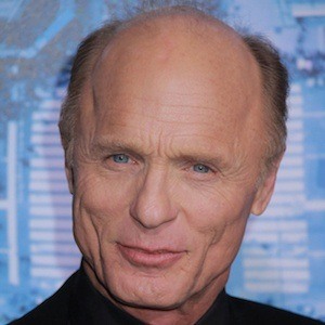 Ed Harris at age 61