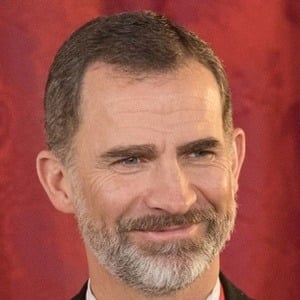 Felipe VI of Spain Headshot 7 of 10