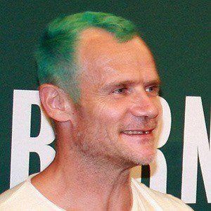 Flea at age 48