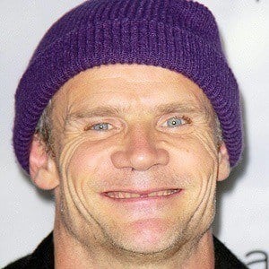 Flea at age 50