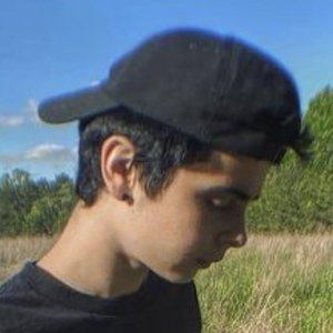 Faze apex on sale diss track
