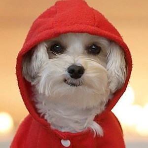 Herman in the Hood Headshot 3 of 6