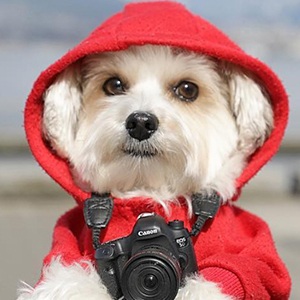 Herman in the Hood Headshot 4 of 6