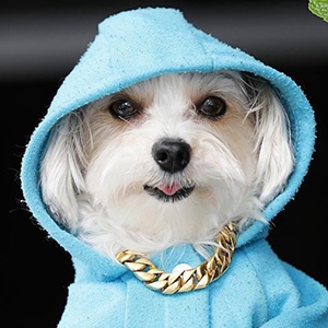 Herman in the Hood Headshot 5 of 6