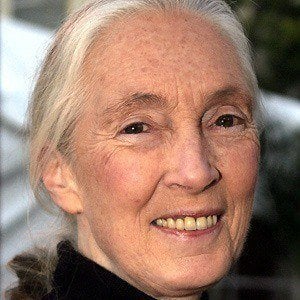 Jane Goodall Headshot 6 of 10