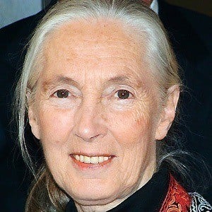 Jane Goodall Headshot 7 of 10