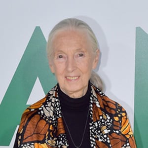 Jane Goodall at age 83