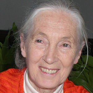 Jane Goodall Headshot 8 of 10