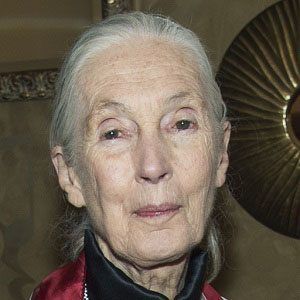 Jane Goodall Headshot 9 of 10