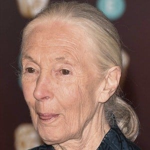 Jane Goodall Headshot 10 of 10