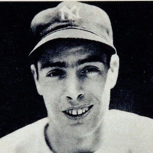 Joe DiMaggio Headshot 2 of 5