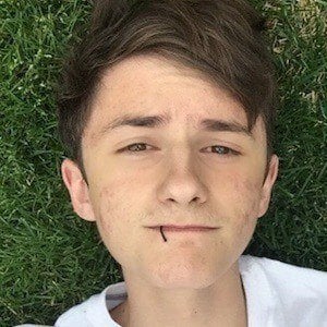 Tofuu Bio Facts Family Famous Birthdays - skin tofuu roblox