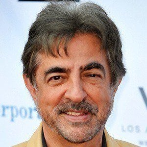 Joe Mantegna at age 64