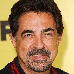 Joe Mantegna at age 61