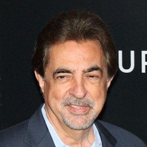 Joe Mantegna at age 67