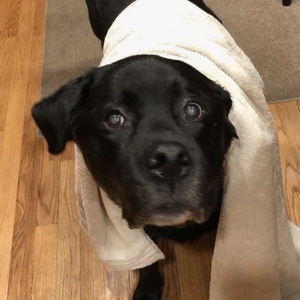 kaseytheenglishlab Headshot 2 of 3