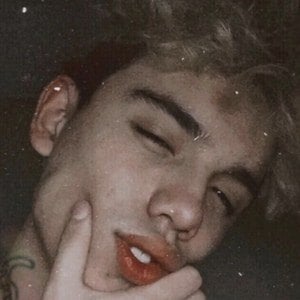 Mateo Carvajal (TikTok Star) - Age, Family, Bio | Famous Birthdays