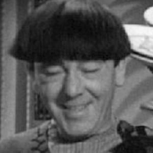 Moe Howard Headshot 2 of 5