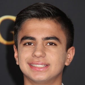 Neel Sethi at age 15