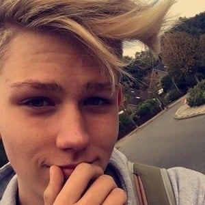 Nils Hargus - Age, Family, Bio | Famous Birthdays