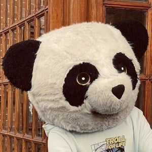 Panda Aventurero Headshot