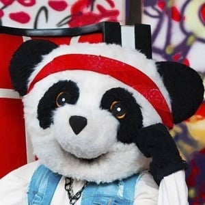 Panda Aventurero Headshot