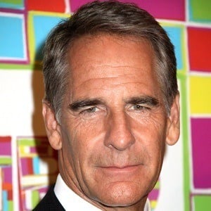 Scott Bakula at age 59