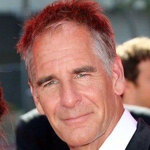 Scott Bakula Headshot 8 of 8