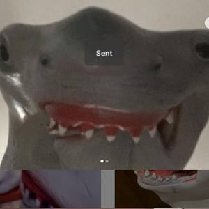 Shark Puppet Headshot 9 of 10