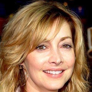 Sharon Lawrence Headshot 5 of 6