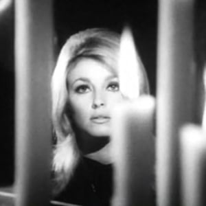 Sharon Tate Headshot 4 of 5