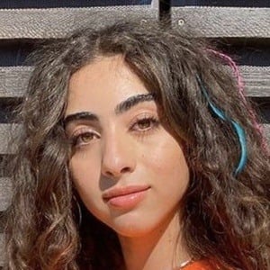 Skyler Aboujaoude - Age, Family, Bio | Famous Birthdays