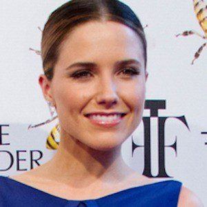 Sophia Bush at age 32