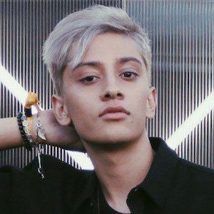 SparkDise Headshot