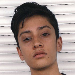 SparkDise Headshot