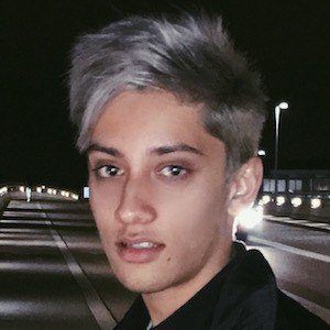 SparkDise Headshot