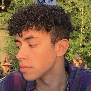 Tayden Seay - Age, Family, Bio | Famous Birthdays