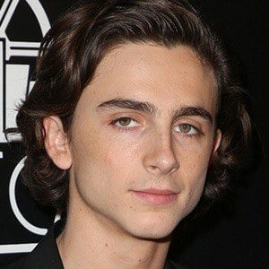 Timothée Chalamet at age 22