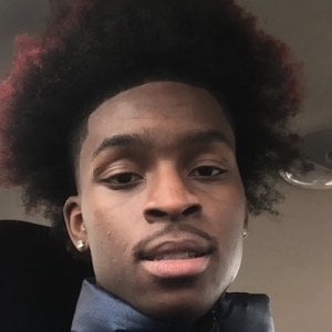 travolivee Headshot 8 of 8